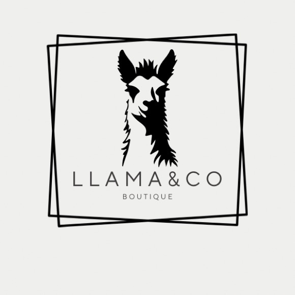 llamaco2024
